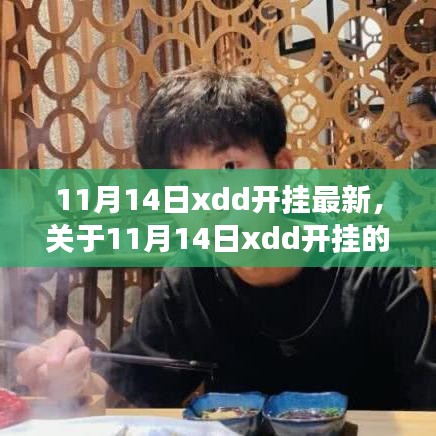 关于11月14日xdd开挂真相的探究与合规游戏指南