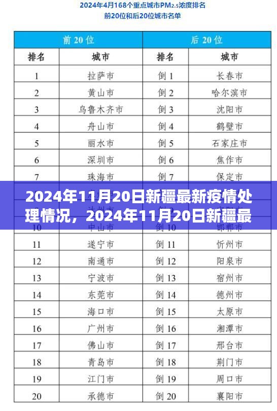 2024年11月20日新疆疫情处理最新动态与深度解析