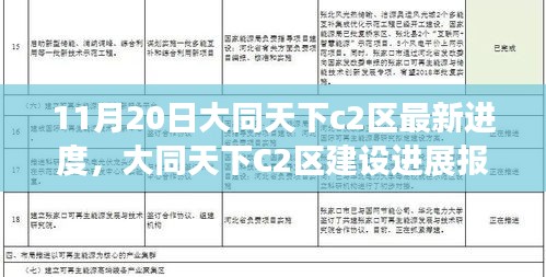 大同天下C2区建设最新进度报告（11月20日更新），细节揭秘与进展解读