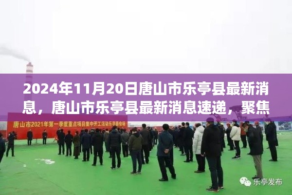 聚焦唐山市乐亭县发展动态，最新消息速递（2024年11月20日版）