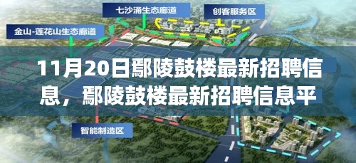 11月20日鄢陵鼓楼最新招聘信息及平台深度评测，特性、体验与用户洞察