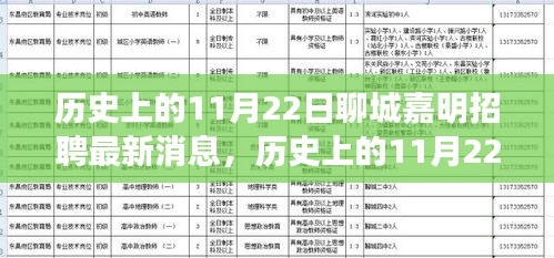 历史上的11月22日聊城嘉明招聘最新消息深度解析及观点阐述