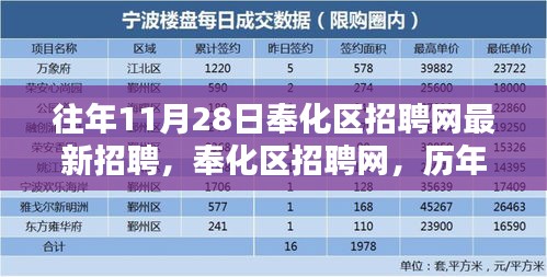 历年11月28日奉化区招聘网人才盛宴深度回顾与最新招聘信息汇总