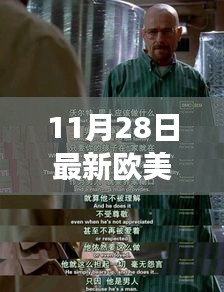 欧美青瑟新潮流个人视角正反分析，11月28日最新趋势观察