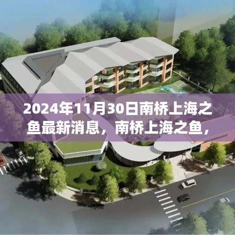 南桥上海之鱼，温馨日常与深厚友情的见证（最新消息，2024年11月30日）