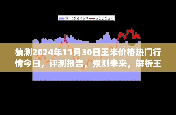 独家解析，王米价格行情预测至2024年11月30日，今日热门行情与未来展望评测报告