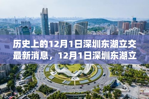 深圳东湖立交新进展，自然美景的心灵之旅启程日纪念报道