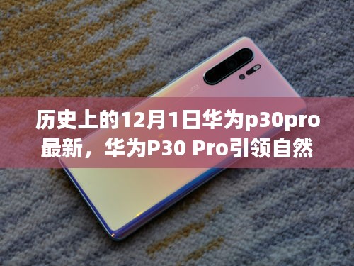 华为P30 Pro引领自然探索之旅，一场历史与科技的奇妙旅程（最新资讯）