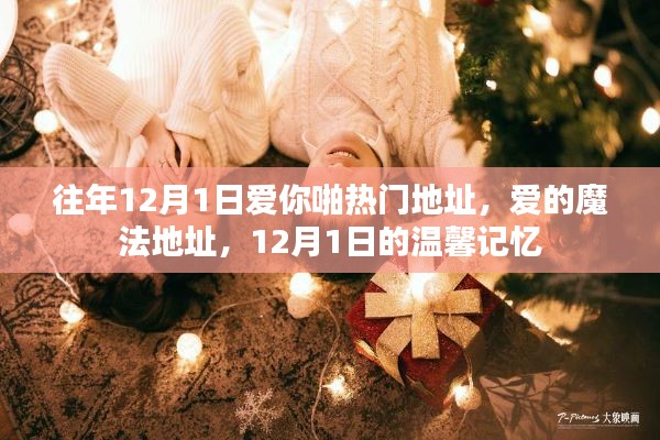 12月1日的爱的魔法与温馨记忆