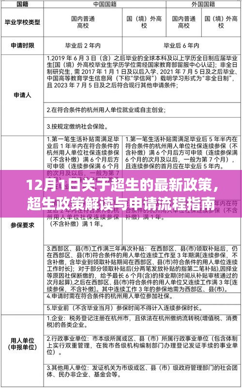 超生政策解读与申请流程指南，最新政策解读适用于初学者与进阶用户