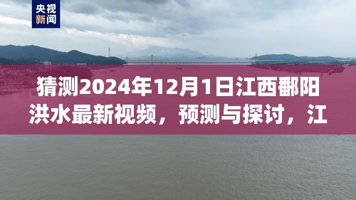 江西鄱阳湖区洪水现象观察与预测，聚焦2024年12月1日的最新视频探讨