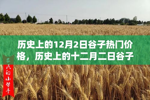 深度解析，历史上的谷子热门价格变迁与背景事件影响——十二月二日的回顾与剖析