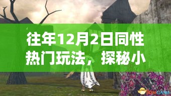 往年12月2日同性热门玩法，小巷深处的独特体验与隐藏小店的奇遇