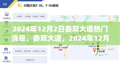 娄双大道热门焦点，揭秘2024年12月2日事件及其深远影响