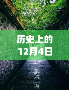 历史上的12月4日颍上易景售楼盛况揭秘，巷陌间的梦幻售楼空间独特记忆