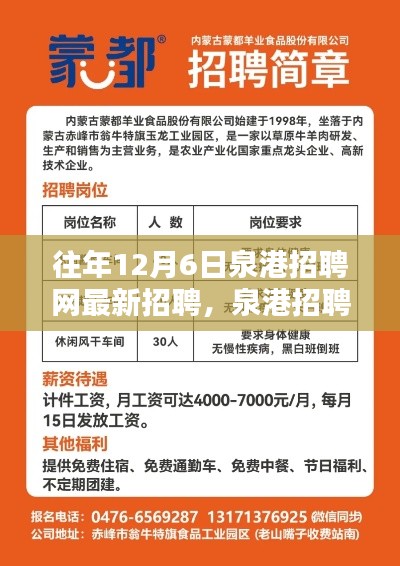 泉港招聘网独家速递，历年12月6日最新招聘信息大盘点与往年招聘动态回顾