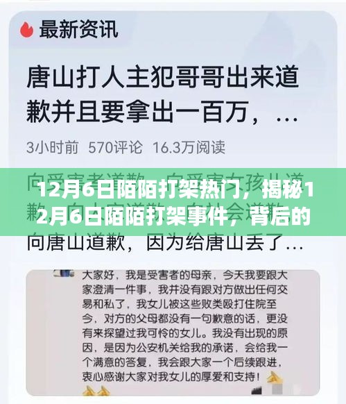 揭秘，12月6日陌陌打架事件背后的原因与影响热议风潮