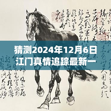 2024年12月6日江门真情追踪最新一集预测与探讨，未来发展及社会影响分析