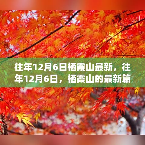 往年12月6日栖霞山深度解析，历史、事件与地位的新篇章