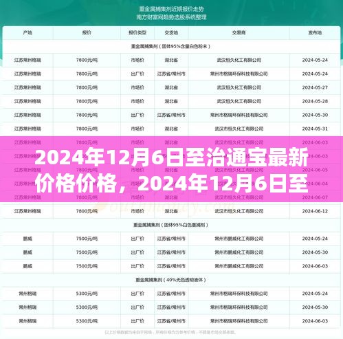 2024年12月6日至治通宝最新价格分析与预测