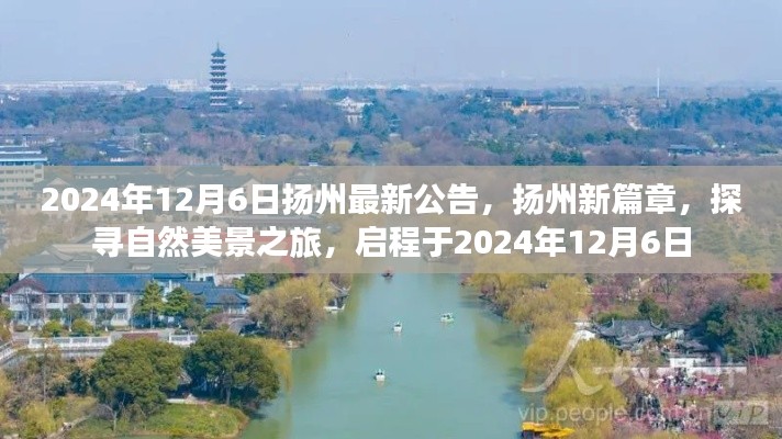 扬州新篇章启程，探寻自然美景之旅的最新公告（2024年12月6日）