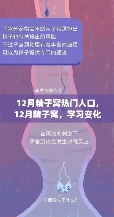 12月精子窝，学习变化与自信成就感的源泉，热门人生的启航地