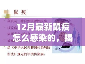 揭秘最新鼠疫感染途径与预防措施，预防胜于恐慌