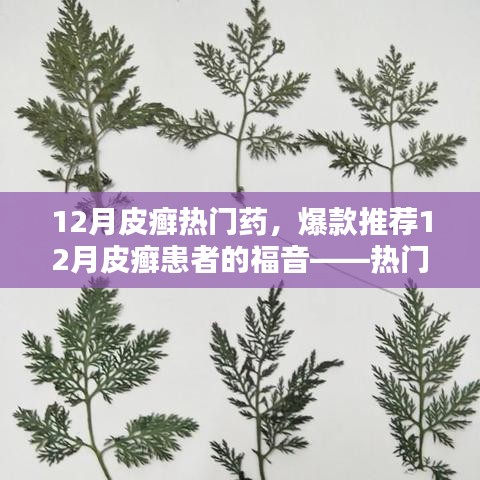 12月皮癣热门药物大盘点，爆款推荐与患者的福音