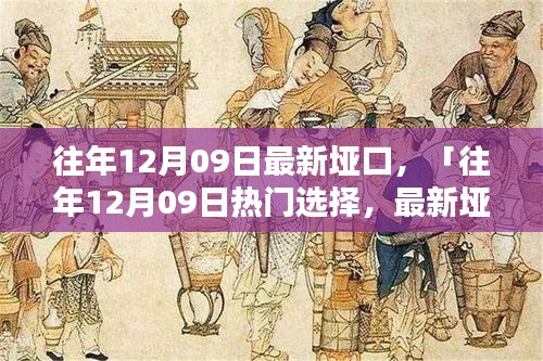 往年12月09日最新垭口产品评测与介绍，热门选择详解