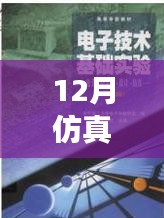 仿真之路，实时启航，迎接自信与成就感的魔法时刻——十二月仿真需求解析