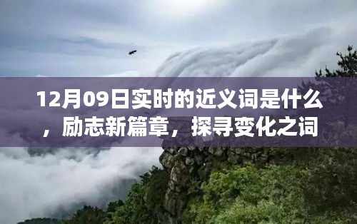 12月09日实时近义词探索与励志新篇章，探寻词汇魔力，学习铸就自信成就之桥