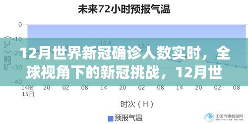 全球视角下的新冠挑战，12月世界新冠确诊人数实时分析