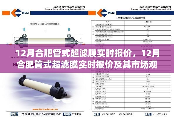 12月合肥管式超滤膜实时报价及市场观点深度解析