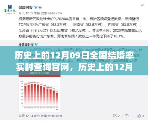 历史上的12月09日全国结婚率实时查询官网，探寻数据背后的故事