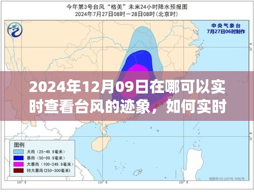 2024年12月09日台风迹象实时查看指南，全方位教程，适用于初学者与进阶用户