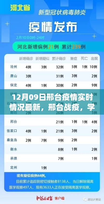 邢台疫情最新实时动态，学习之光照亮希望之路，信心交响曲中的成就与前行