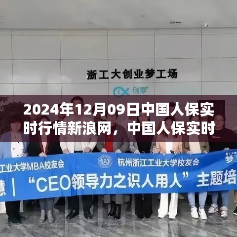 中国人保新浪网实时行情评测报告，产品特性与用户体验深度解析