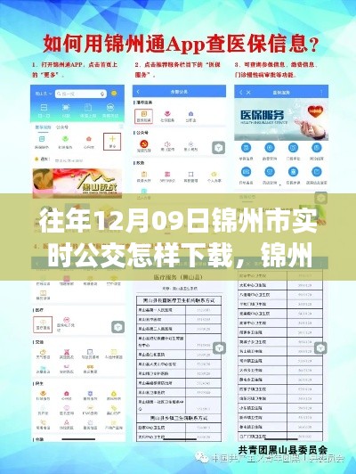 锦州市实时公交查询APP下载指南，以往年12月09日为例的教程分享