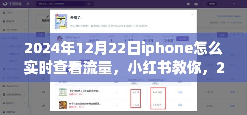 2024年12月22日iPhone实时查看流量教程，小红书教你如何轻松监控流量消耗