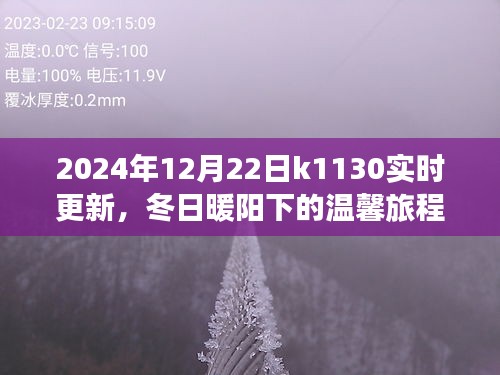 冬日暖阳下的温馨旅程，K1130列车2024年12月22日实时更新行程揭秘