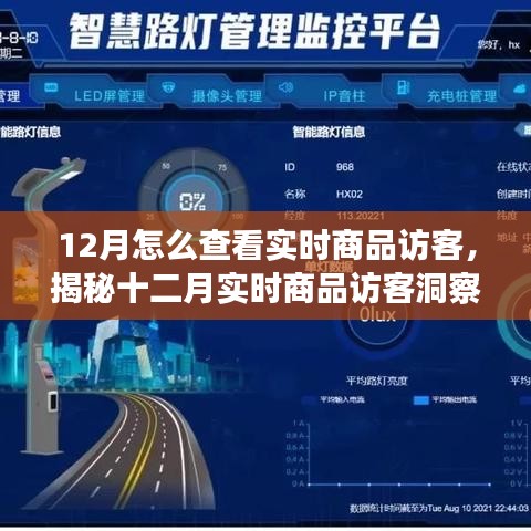 揭秘十二月实时商品访客洞察，洞悉访客动态与商业进展的秘诀