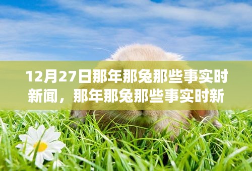 那年那兔时事新闻追踪解读指南，从初学者到进阶用户的步骤指南