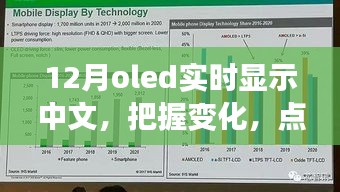 12月OLED中文实时显示，把握变化，点亮未来——展现你的中文魅力