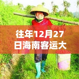 海南客运大巴车实时查询系统，历史轨迹与时代意义回顾（往年12月27日实时查询）