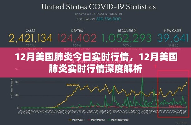 12月美国肺炎实时行情深度解析与最新动态