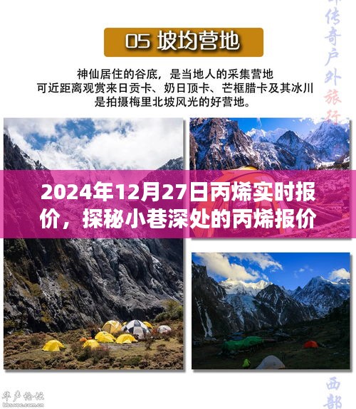 探秘丙烯报价秘境，揭秘2024年12月27日丙烯实时行情与报价深度解析