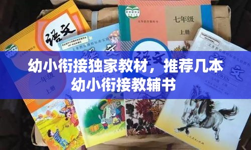 幼小衔接独家教材，推荐几本幼小衔接教辅书 