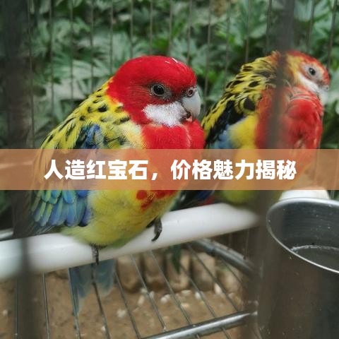 人造红宝石，价格魅力揭秘