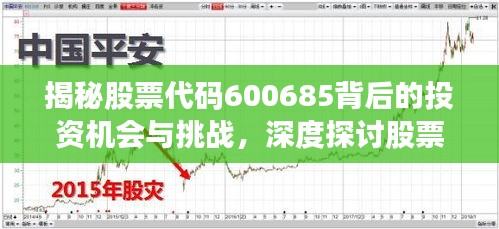 揭秘股票代码600685背后的投资机会与挑战，深度探讨股票交流心得分享