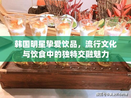 韩国明星挚爱饮品，流行文化与饮食中的独特交融魅力